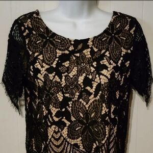 Tan Black Short Sleeve Top‎ Small Express A220